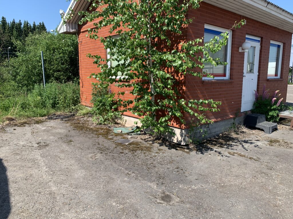 Puun poistaminen Best Caravan